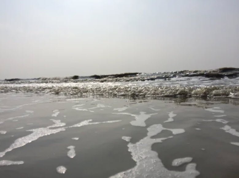 Udaypur Sea Beach, Purba Medinipur (East Medinipur), West Bengal - Vushii.com Udaypur Sea Beach, Purba Medinipur (East Medinipur), West Bengal - Vushii.com